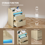 Hzuaneri Nightstands Set of 2 with LED Lights, Charging Station and 2 Drawers, Side Table with USB Ports and Power Outlets, Ideal for Living Room and Bedroom, Oak Color, NS30116X