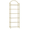 Hzuaneri 6 Tier Bookcase Bookshelf, Tempered Glass Bookshelves, Slim Shelving Unit for Bedroom, Bathroom, Home Office, Steel Frame, Gold BC21699G