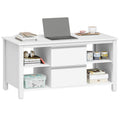 Hzuaneri Coffee Table, Living Room Table with 2 Drawers and 4 Open Compartments, Sofa Table, Steel Legs, for the Living Room, 50 x 100 x 50 cm, White-Silver CT22003W